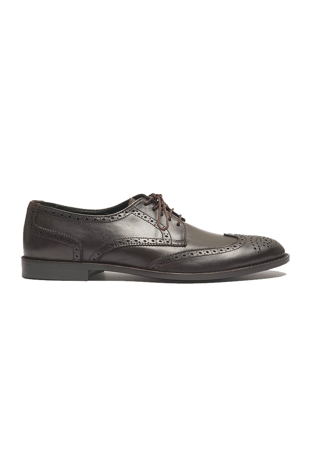 Brown Burnish Wingtips